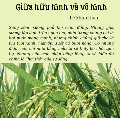 Giua huu hinh va vo hinh 5