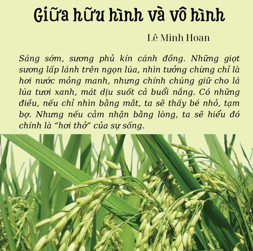 Giua huu hinh va vo hinh 5
